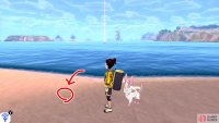 7/7: From the islet where Diglett 5 and 6 are, turn so the mainland is on your left. Directly, there&rsquo;s a long, sandy island with a boulder on one end and a Pok&eacute;mon Den on the other. Swim towards that island. Check around the middle of this island.