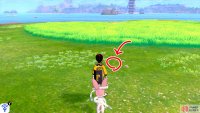 2/6: From Diglett 1, go clock-wise around the island. When you reach the opposite shore (furthest from the mainland), look for some small pebbles between the shore and the tall grass.