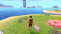 2/11: From Diglett 1, stay on the same &ldquo;petal&rdquo;. Where Diglett 1 was, face the Tower of Waters. The second Diglett is a short distance to the left of the Pok&eacute;mon Den that&rsquo;s here.
