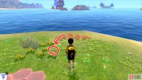 3/11: From Diglett 2, go clock-wise around the island to the second &ldquo;petal&rdquo;. Go up to the Pok&eacute;mon Den and face the Tower of Waters. It&rsquo;s on the right side of the yellow flowers just above the den.
