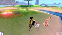 7/11: Remain on the &ldquo;petal&rdquo; where Diglett 6 is. Head past the Pok&eacute;mon Den, towards the ocean. It&rsquo;s on the shore, in the direction of the sea.