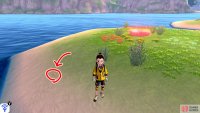 8/11: Go to the final &ldquo;petal&rdquo;. This one&rsquo;s also on the shore, along the left side if your back is to the island&rsquo;s centre. Only a few more to go! Wahoo!