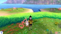 9/11: Head for the centre of the island, where the big tree is. There&rsquo;s one among the red flowers in the direction of Diglett 8. Pluck it out and feel proud.