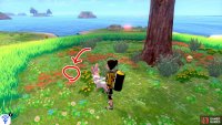 10/11: Plus another a few paces away from Diglett 9, if you walk clock-wise. It&rsquo;s between two bunches of red flowers and some yellow flowers. Time to start planning what to do with your soon-to-be freedom.