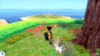 11/11: &hellip;And another if you continue walking clock-wise for a few more paces. It&rsquo;s between some yellow flowers and red flowers near the tall grass. Go over and dig up that last blight on humanity.