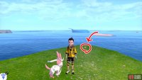 11/18: Turn right after crossing the bridge. Found at the end of the outcrop overlooking the sea. There may be a Lopunny near by.