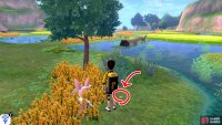 2/20: From Fields of Honor entrance, head towards the central pool directly ahead. This Diglett&rsquo;s behind the tall yellow grass that&rsquo;s in front of the pool, near the Pok&eacute;mon Den.