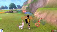 3/20: With the Fields of Honor behind you, go through the central pool referenced in Diglett 2. This one&rsquo;s next to some shrubbery next to the cliff wall, near a red flowerbed.