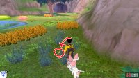 5/20: From the Fields of Honor entrance, turn right and go past two patches of tall grass, towards the direction of Brawlers&rsquo; Cave. Suspect 5 is in the middle of some shrubbery before some tall yellow grass.
