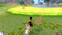 6/20: From the Fields of Honor entrance, turn left and go past the skinny tree. Keep to the right of the tall grass on the left. As the tall grass ends, there&rsquo;s a shallow pool on the right. Check the yellow flowers above the pool.
