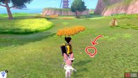 11/20: From Diglett 10, face the tower in the distance. There&rsquo;s some tall yellow grass on the left and another bunch on the right, further ahead. Go up to the second tall yellow grass and search the pebbles a few paces before it.