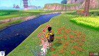 13/20: From Diglett 12, face the direction of the Forest of Focus (the cave should be behind you). Along the left side, there&rsquo;s low-lying land by the river. Walk past this section and search the red flowerbeds near the river.
