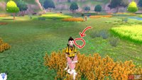 18/20: From Diglett 17, face Brawlers&rsquo; Cave. There should be two patches of tall yellow grass just ahead. Go up to the tall yellow grass on the right. The pesky thing is just above the left-most part of this bunch of grass.