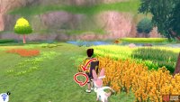 19/20: From Diglett 18, face the wall on the left (while looking in the direction of Brawlers&rsquo; Cave). There&rsquo;s some tall grass with red flowers in front of it. Go up to the grass and search the yellow grass on its left.