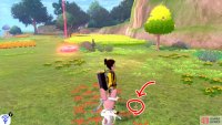 20/20: From Diglett 19, while you&rsquo;re still facing the nearby wall, towards the left, there&rsquo;s a red flowerbed that&rsquo;s parallel to a berry tree. Comb the edges of this flowerbed to find the last runaway mole.