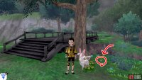 1/8: Starting from the Soothing Wetlands entrance, go up towards the first bridge. It&rsquo;s next to the tree that&rsquo;s immediately on the right.