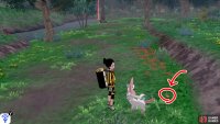 5/8: Return to the second bridge and stand so it&rsquo;s behind you. Follow the path in front, as it goes around. Count the Pok&eacute;mon along the way. When you go past the 3rd Pok&eacute;mon, look around the right. It&rsquo;s before some red flowers.