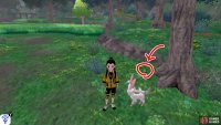 6/8: From Diglett 5, keep going forward. There should be a tree nearby, along the right side. Check near the roots of this tree.