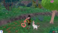 7/8: From Diglett 6, go towards the tall grass just ahead and turn right, where the berry tree is. It&rsquo;s hiding in the middle of the red flowers to the left of the berry tree.