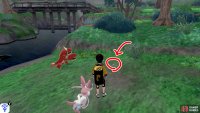 8/8: From Diglett 7, head for the riverbank, where there&rsquo;s a view of the first bridge. The final Diglett is located below a small bush that&rsquo;s next to the raised, inaccessible land (near the bridge).