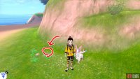 1/9: Starting from the Forest of Focus entrance, go forwards towards the rocky hill. It&rsquo;s hiding around the back of this hill, near some pebbles.