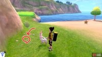 8/9: From Diglett 7, turn so the ocean is behind you. In front of you, there should be a rocky hill. Go up to the hill and look around towards the left. It&rsquo;s hiding near some pebbles.