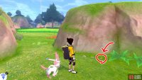 9/9: From Diglett 8, turn so the ocean is on your right. Go forward, stopping before the tall grass. Now turn left. The final Diglett is sat in-between some pebbles and greenery in front of the rocky hill that&rsquo;s ahead.
