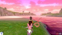 2/7: With the cave entrance behind you, go forward while keeping on the right side. After the red flowers and just before the shoreline begins, next to some pebbles by the waterside.