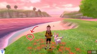 6/7: Swim towards the big island in the centre of the lagoon. You can find a shore to land on in the direction of the ocean. After reaching the shore, go up the slope and turn right. It&rsquo;s located near the red flowers, by the land&rsquo;s edge.