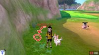 2/15: Turn left from the Forest of Focus entrance. After the small patch of tall grass, it&rsquo;s burrowed near the cliff wall, before some red flowers.