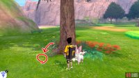 3/15: From Diglett 3, continue forward with the cliff wall on your left. Go past the stretch of tall grass on the left. Ahead, there&rsquo;s a big tree in front of a lake. Search behind this tree.