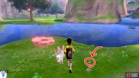 5/15: From Diglett 5, head into the lake and swim towards the island in the middle (with the Pok&eacute;mon Den). It&rsquo;s next to a pebble, facing away from the rest of the lowlands.