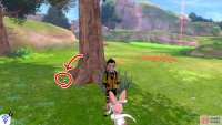 8/15: From Diglett 7, stand with your back facing the ocean. Then go forward, while keeping close to the cliff wall. Go past the Pok&eacute;mon Den and the tall grass after it. Check the left side of the first tree.