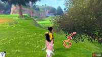14/15: From the stairs leading to Challenge Road, turn left (while facing the stairs). Then turn right from the nearby tree. The pesky thing is hiding at the edge of the raised land, right next to the tree that&rsquo;s on lower ground.