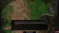 Respond by running up and attacking Erik to prove your prowess.