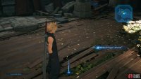 while the Medicinal Flowers can be found in Aerith&rsquo;s Church.