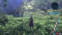 and then proceed deeper into the forest to find the first photo spot