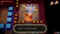 Throw the Elephant Statue at the door ahead of where you obtained the Compass and head through to find a Chest with 100 Rupees,