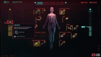 this Edgerunner potential is marked by red dashes on your Cyberware Capacity meter.