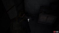 Climb up the ladder and head into the truck on the left for a Coin