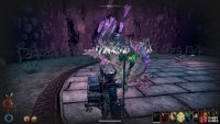 Attack the Troglodyte Queen from behind as much as possible to avoid her basic attacks.