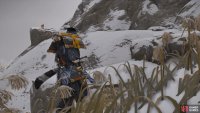 then follow it to the Shrine 