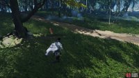 then follow it to a Shrine 