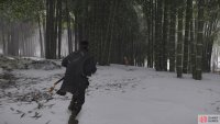 then follow it to the Shrine 
