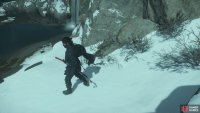 then follow it to the Shrine
