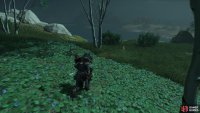 then follow it to a shrine 