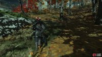 then follow to a shrine