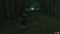 then follow it to a shrine