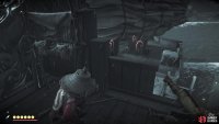 There is a bear being held in a cage