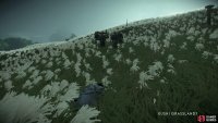 Follow Mai to the meeting point
